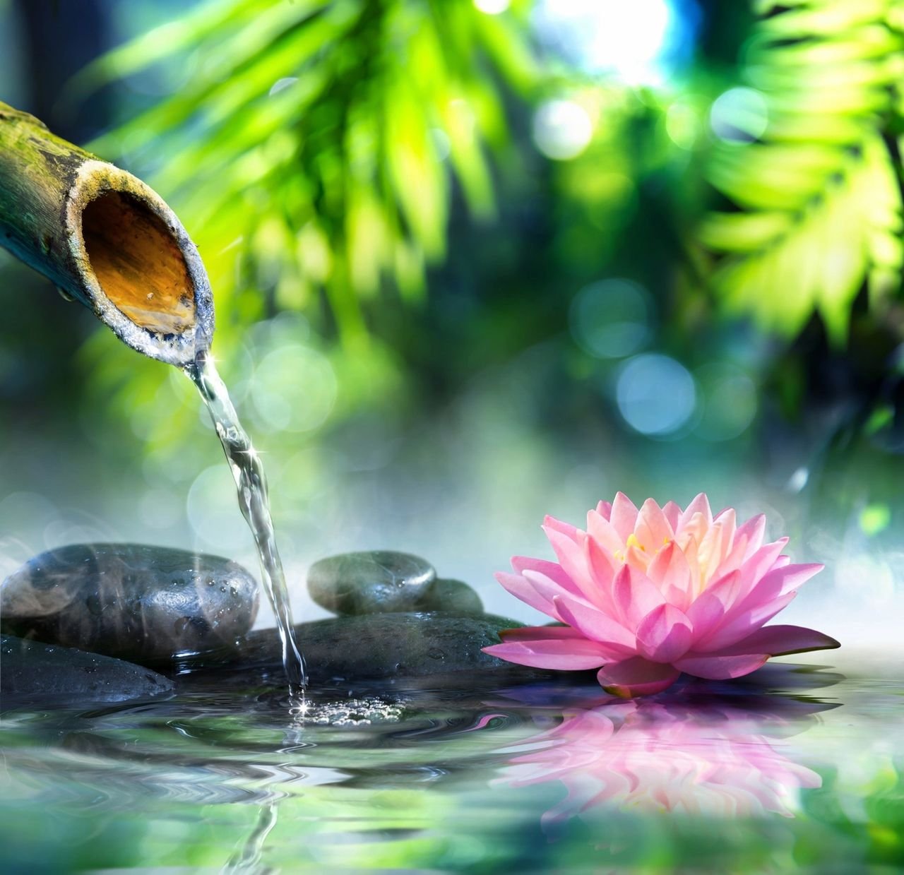 Biophilic inspired design