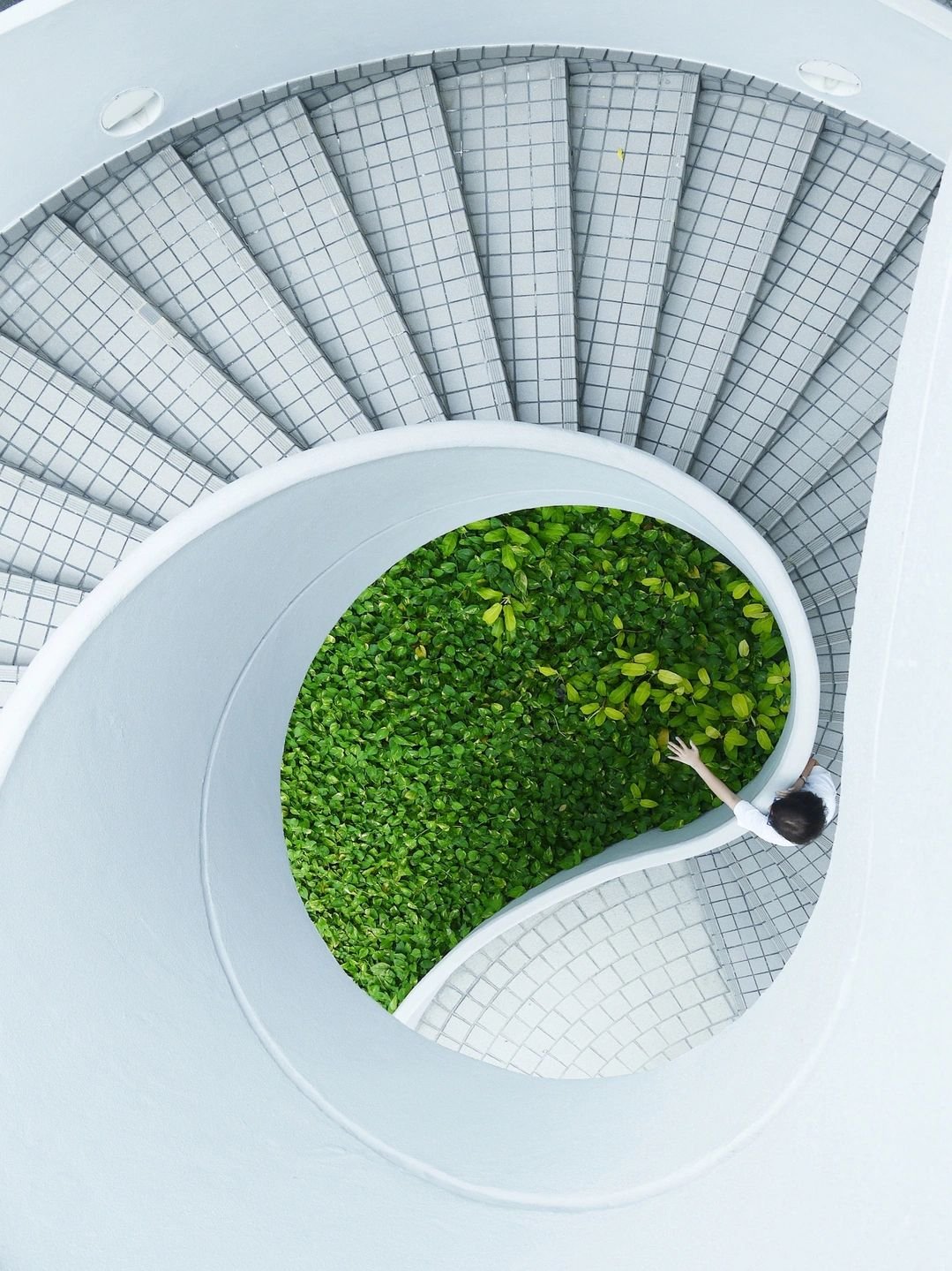Biophilic modern steps in Cleveland Botanical Garden